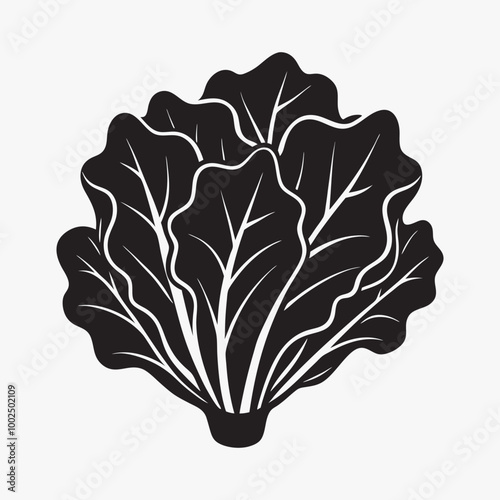 Fresh Green Leaf Lettuce Illustration Vector - Realistic Healthy Vegetable Clipart photo