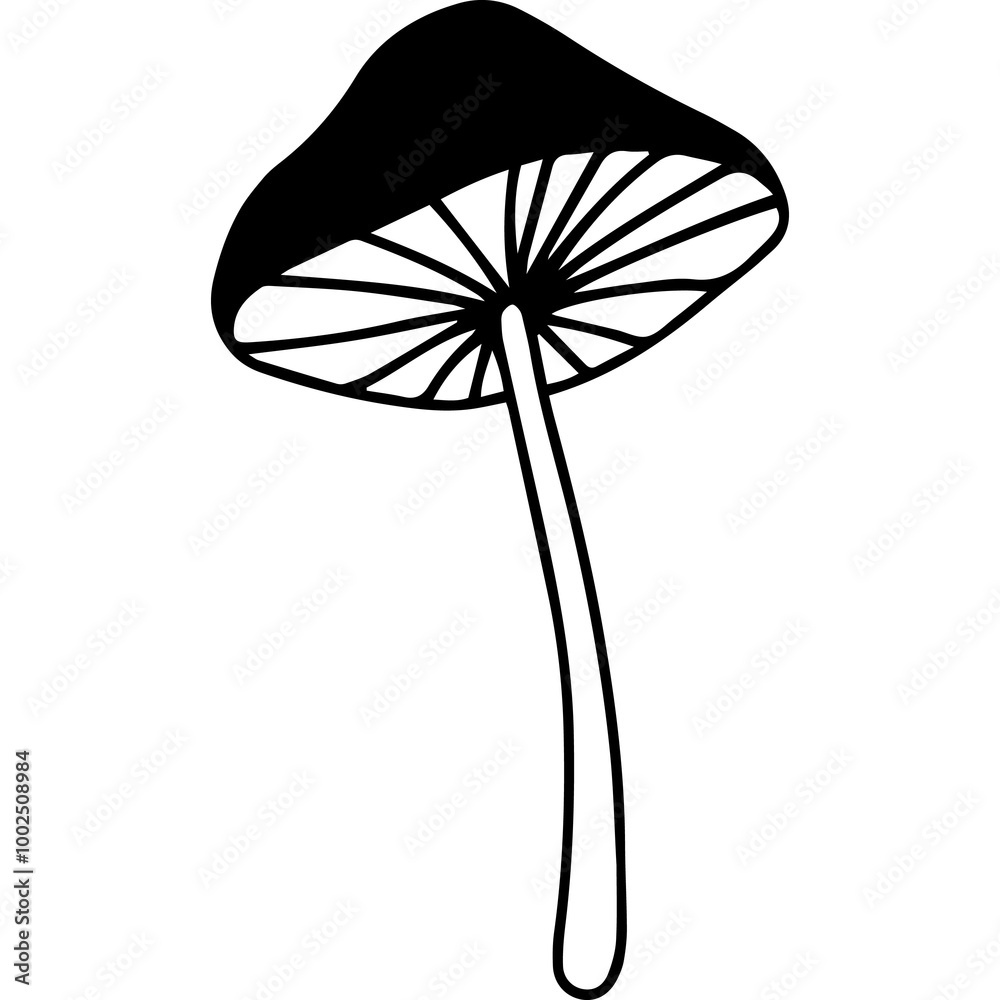 Mushroom Mushroom