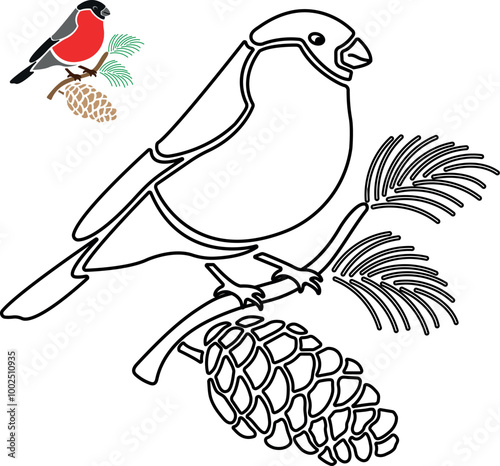 Bullfinch