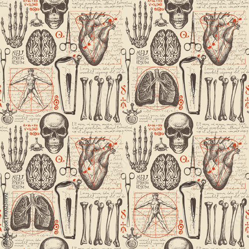Anatomy seamless pattern with hand-drawn human skulls, bones, organs and surgical instruments on a backdrop of handwritten text. Vintage vector background with sketches on a medical theme