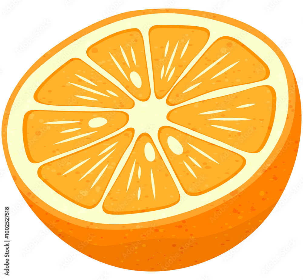 Fruit, Orange, Tropical Fruits, Illustration Hand drawn Fruit, Orange, Tropical Fruits, Illustration Hand drawn