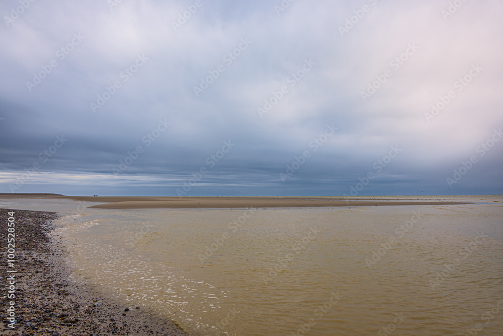 Fototapeta premium La Réserve Naturelle Nationale de la Baie de Somme à Le Hourdel 