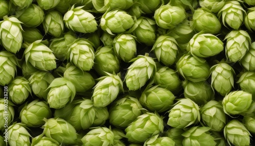 close up of hops at market