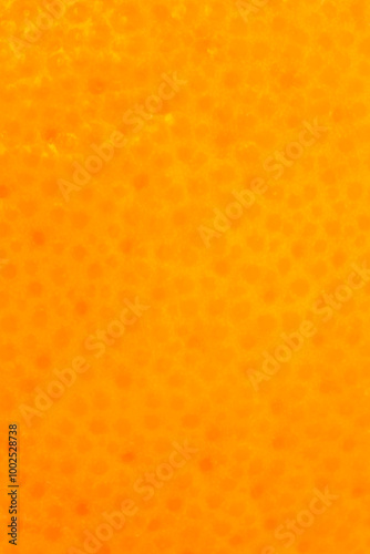 bright summer backdrop: close up of peel of orange texture