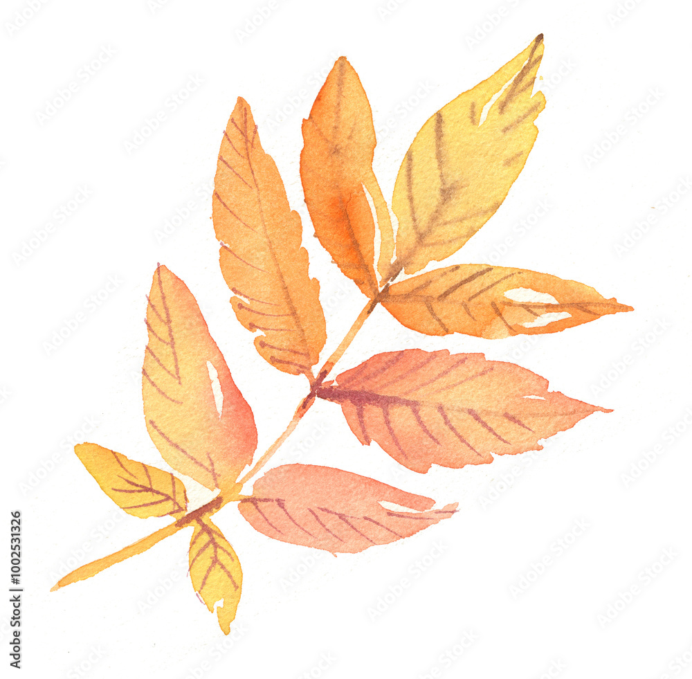 Autumn creative maple leaf, painted in watercolor. Bright maple leaf in autumn, isolated illustration. Hand-drawn leaves, autumn leaves