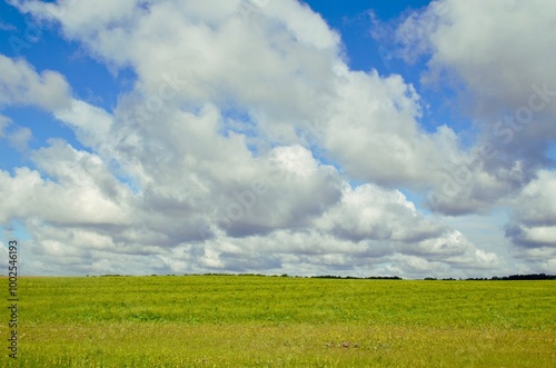 white large clouds against a background of blue skies over a green field photo