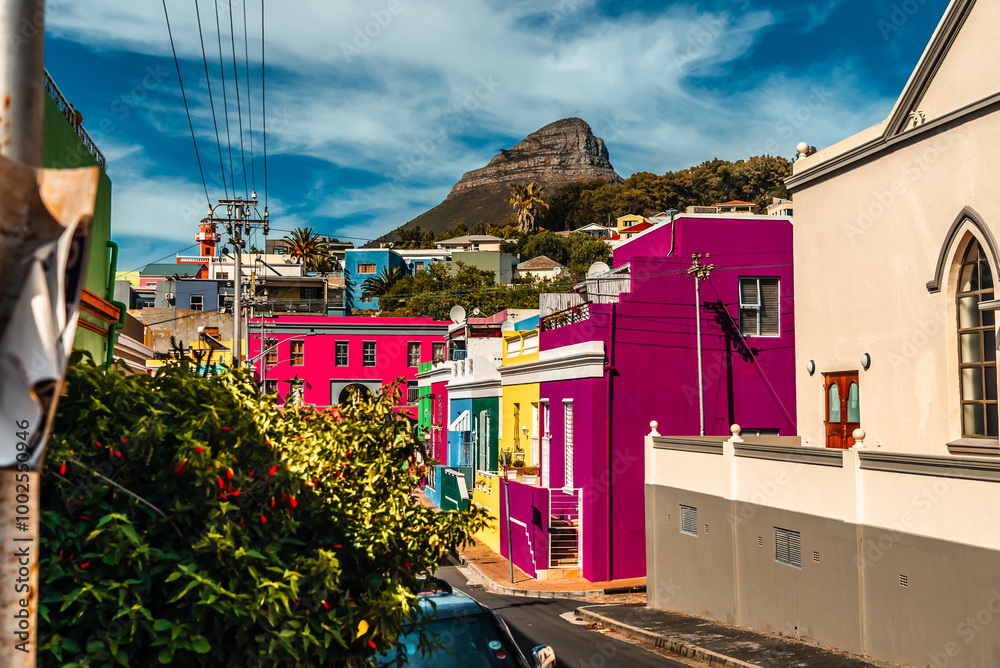 Naklejka premium Cape Town Colorful Bo-Kaap Homes 