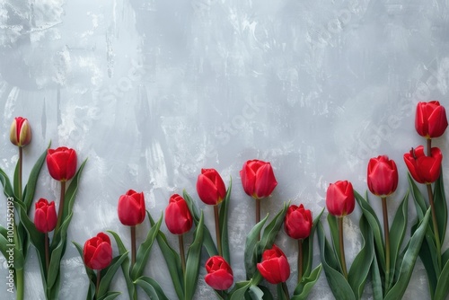Red Tulips on Gray Background: Vibrant Spring Floral Arrangement for Modern and Elegant Decor