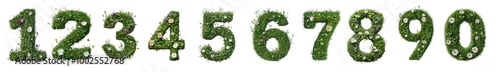 Green grass numbers decorated with flowers, isolated on transparent background, perfect for eco, natural, and environmental design projects