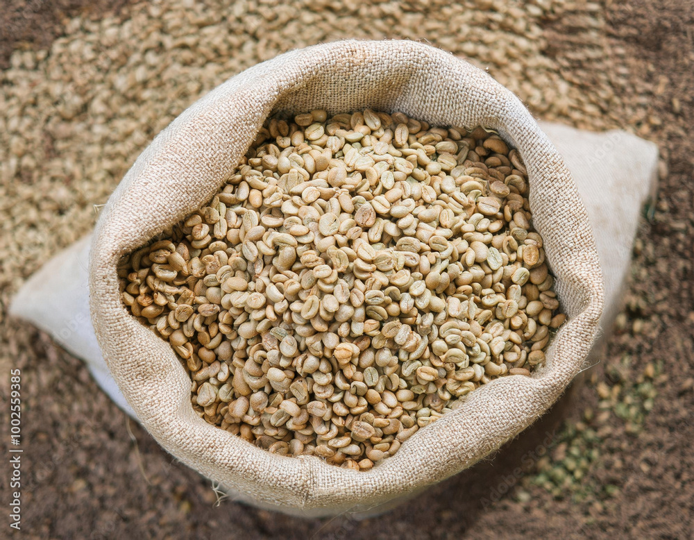 A large burlap sack brimming with unroasted coffee beans sits on top of a larger pile, showcasing a natural, earthy feel with a close-up of the beans.