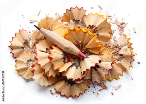 Pencil tip shavings with eraser isolated on white background, top view