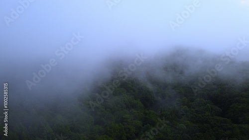 霧に包まれる山