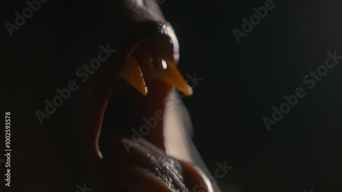 Close up Vampire Mouth