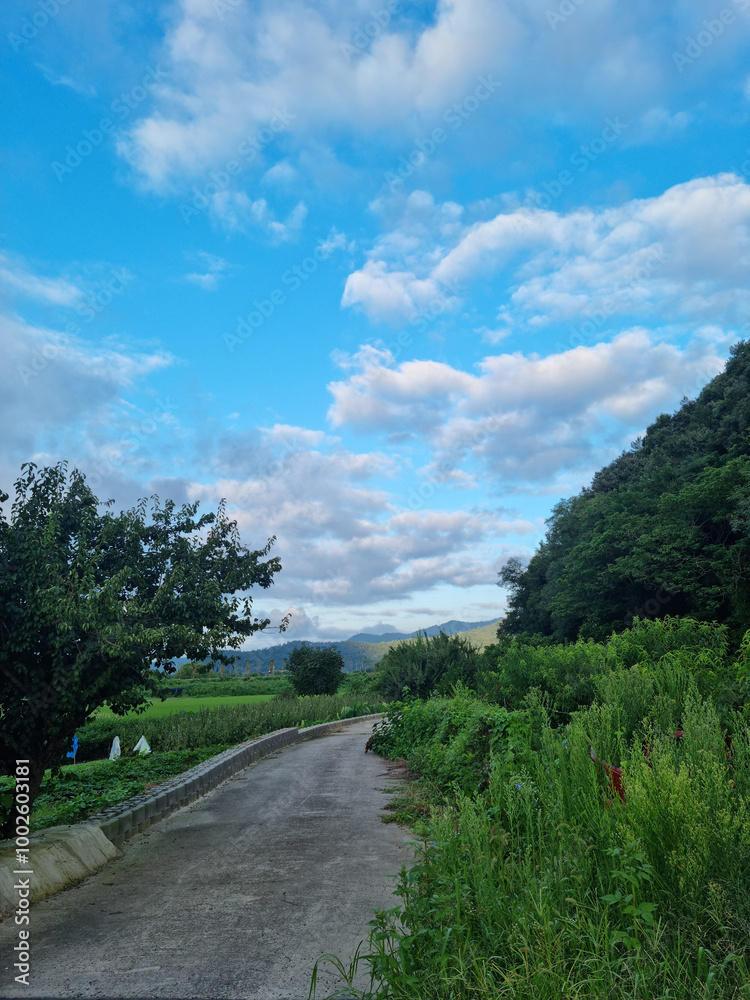 It is a country road in Jeolla-do, Korea. It is a country road in Jeolla-do, Korea.