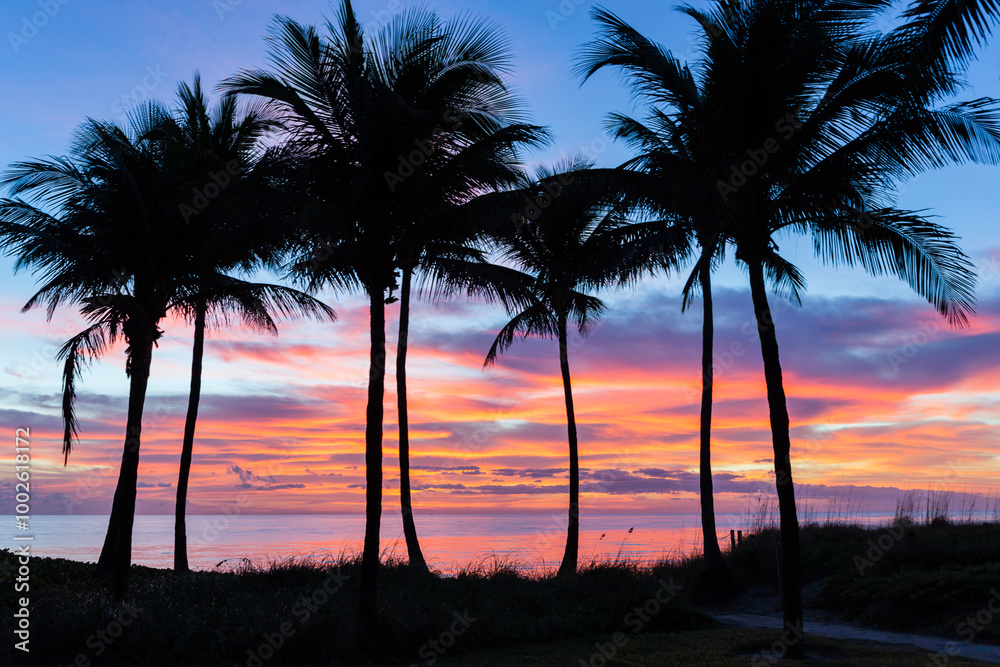 Fototapeta premium Colorful Tropical Sunrise Over Deerfield Beach, Florida with Palm Trees Silhouetted Against Vibrant Clouds