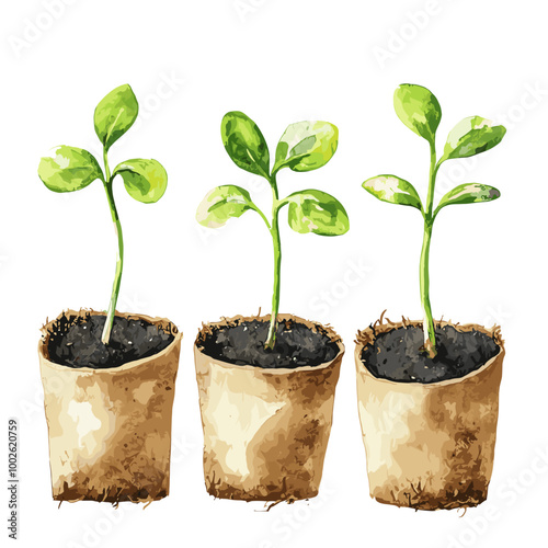 Watercolor Seedlings in Biodegradable Peat Pots for Eco-Friendly Gardening