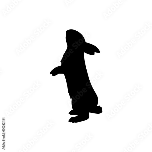 Rabbit  black silhouette  photo