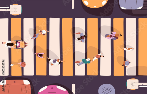 People cross road on crosswalk top view. Crowd of pedestrians walk by street in city. Citizens with kids, pets going through safety zebra during cars stop at traffic light. Flat vector illustration
