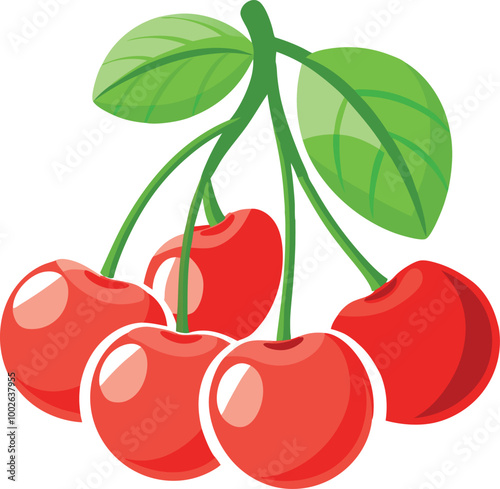 A vibrant vector illustration of cherries clustered together on a plain white background