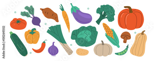 Autumn harvest set. Collections of pumpkin, squash, apple, cabbage and other types of vegetables. Vector illustration.
