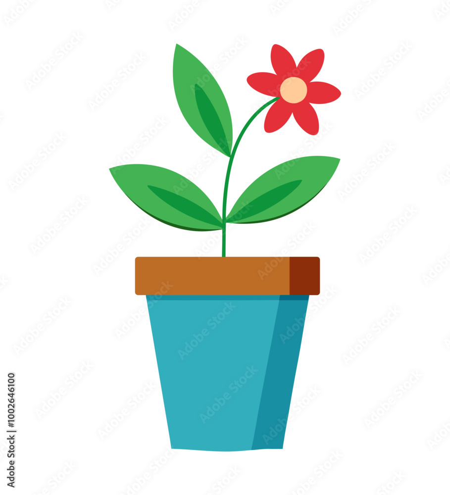Flowers Pot Flowers Pot