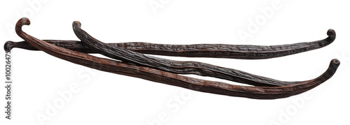 Long, delicate vanilla beans elegantly displayed on a pristine white surface