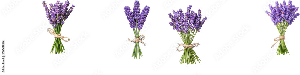 Naklejka premium Four bundles of fresh lavender flowers tied with twine on a transparent background, showcasing natural beauty and vibrant purple hues