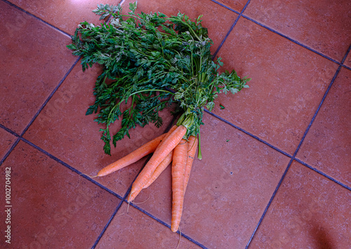 Carrots on a floor backround
