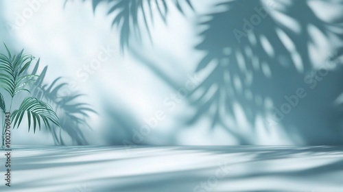 Soft Shadows and Greenery on Blue Background