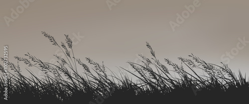 Grass in the field. A silhouette of meadow grass in black on a light background for your design. Vector illustration EPS 10