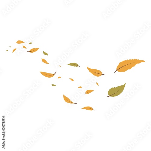 Autumn Leaves Falling. Autumn leaves falling. Leaves air. Flying autumn leaves. Wave of falling leaves.Leaf fall. Autumn. Autumn falling leaves isolated on white background. Autumn maple and oak leave