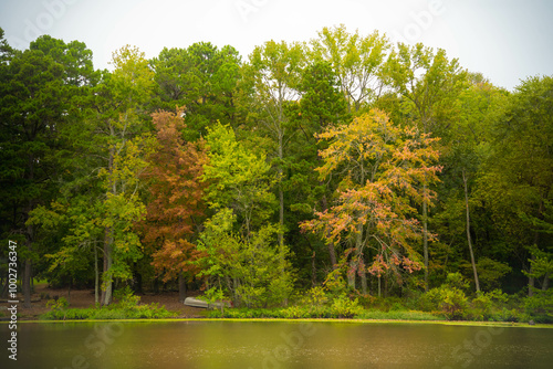 Fall forest and river scene