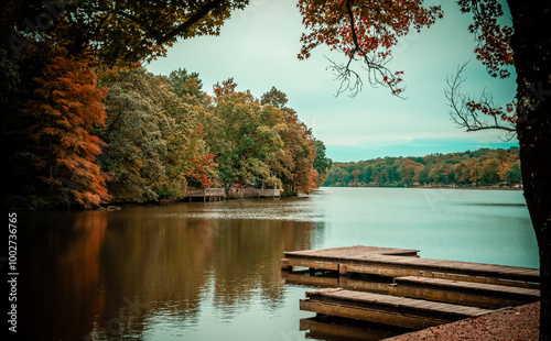 Fall forest and river scene