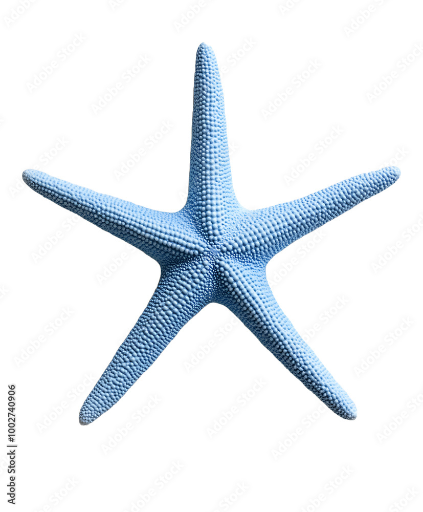 blue starfish with textured arms isolated on transparent background blue starfish with textured arms isolated on transparent background