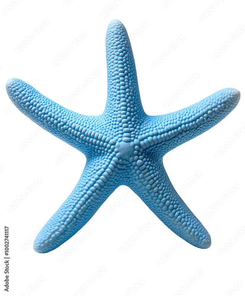 blue starfish with textured arms isolated on transparent background blue starfish with textured arms isolated on transparent background