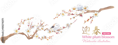 早春の花：白い梅の花と小鳥（エナガ）の水彩イラスト。日本の伝統文化。（ベクター。花のレイアウト変更可能）