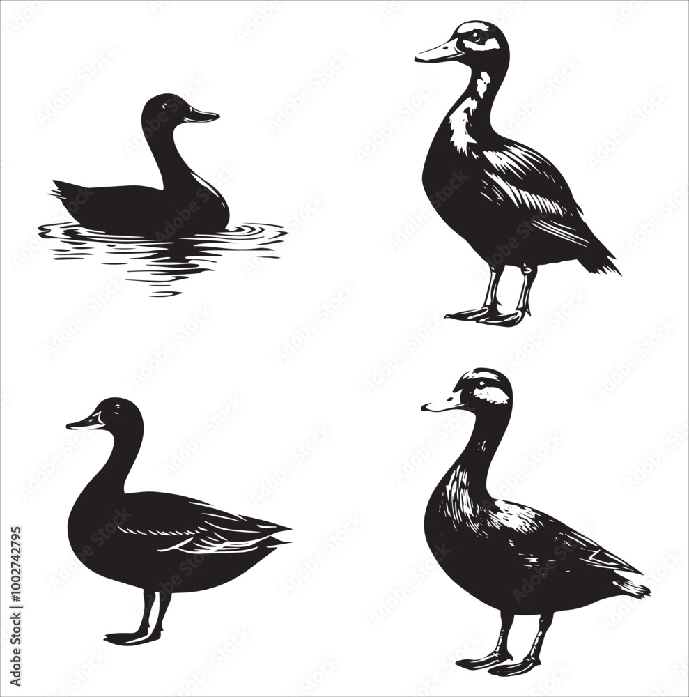 silhouette of a duck,bird, swan, animal, duck, goose, illustration, vector, silhouette, nature, cartoon, water, beak, icon, black, wild, lake, drawing, wildlife, birds, design, feather, love, art, sym silhouette of a duck,bird, swan, animal, duck, goose, illustration, vector, silhouette, nature, cartoon, water, beak, icon, black, wild, lake, drawing, wildlife, birds, design, feather, love, art, sym