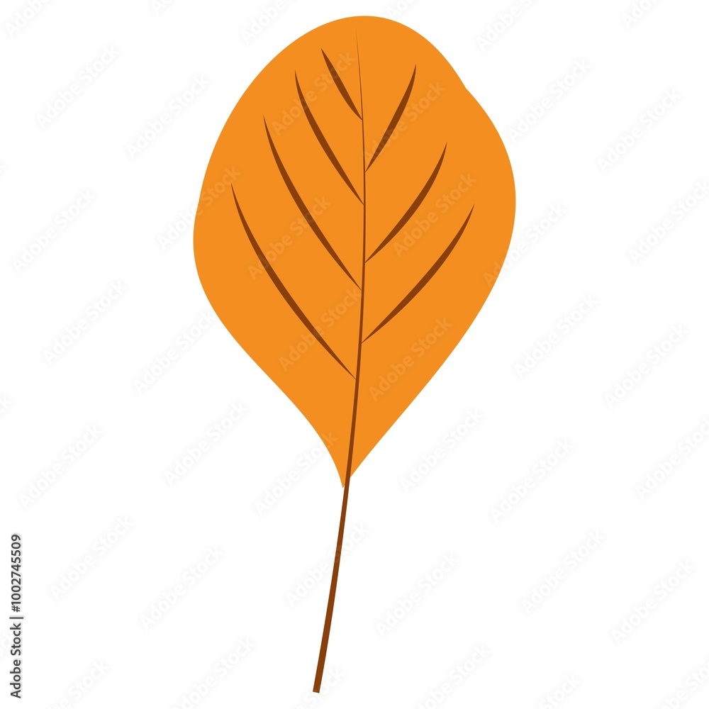 Autumn Leaves. Set of autumn leaves from different trees, oak, maple, chestnut. Simple, yellow, red, orange fall leaf set for pattern, banner, sticker, Hello autumn card. Flat vector illustration on w