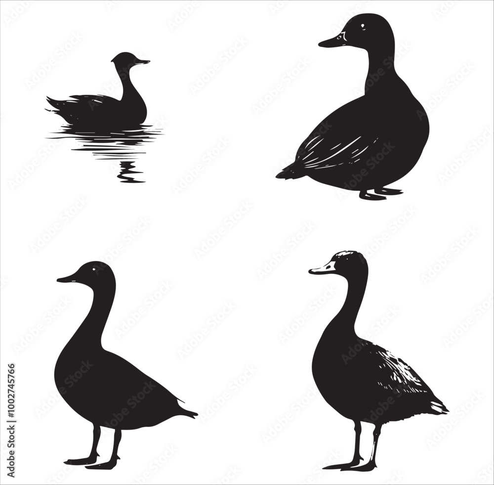 silhouette of a duck,bird, swan, animal, duck, goose, illustration, vector, silhouette, nature, cartoon, water, beak, icon, black, wild, lake, drawing, wildlife, birds, design, feather, love, art, sym silhouette of a duck,bird, swan, animal, duck, goose, illustration, vector, silhouette, nature, cartoon, water, beak, icon, black, wild, lake, drawing, wildlife, birds, design, feather, love, art, sym