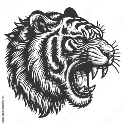 fierce roaring tiger growling, sharp teeth and powerful expression, exuding wild strength sketch engraving generative ai vector illustration. Scratch board imitation. Black and white image.