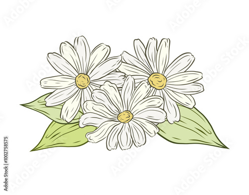 Vector bouquet with daisies and greenery, branches and leaves. Illustration, linear drawing, color hand-drawn graphics. Design and packaging, healthy plant, natural ingredient