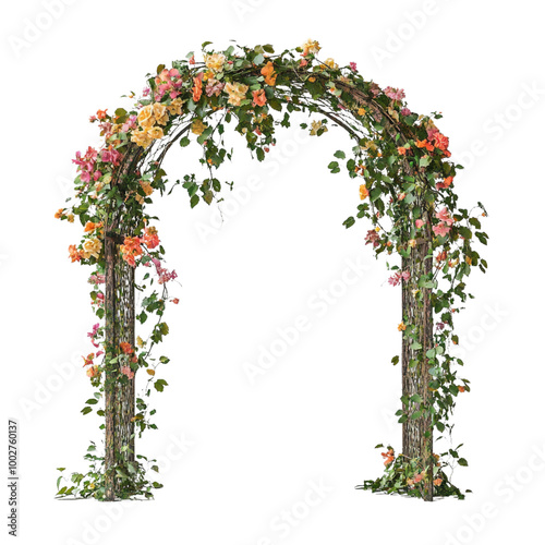 Vines and flowers climbing on wooden arch against white background