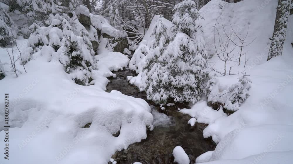 Snowscape Wilderness With Flowing Creek During Winter. Close-up Shot Snowscape Wilderness With Flowing Creek During Winter. Close-up Shot