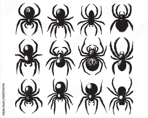 Creepy Spider Silhouettes and Webs