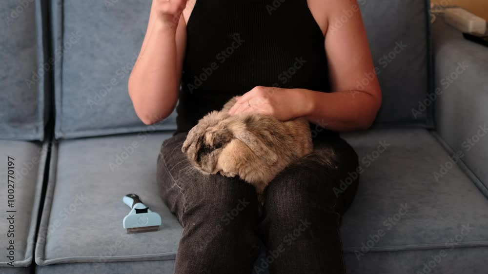 A woman lovingly grooms her rabbit, holding it gently while removing loose fur. The scene emphasizes the dedication required in pet ownership, linking to themes of care, affection, and routine A woman lovingly grooms her rabbit, holding it gently while removing loose fur. The scene emphasizes the dedication required in pet ownership, linking to themes of care, affection, and routine