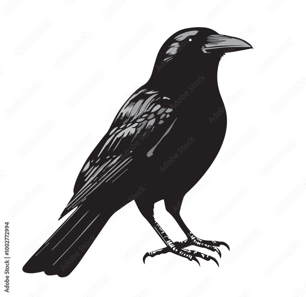 Fototapeta premium silhouettes of birds, bird, silhouette, animal, nature, illustration, vector, birds, crow, black, isolated, beak, bullfinch, branch, wildlife, white, wing, raven, feather, winter, cartoon, art, fly, 