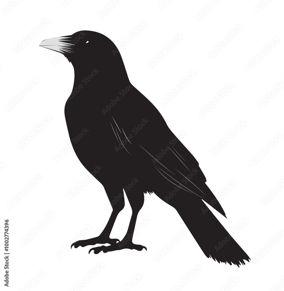 silhouettes of birds, bird, silhouette, animal, nature, illustration, vector, birds, crow, black, isolated, beak, bullfinch, branch, wildlife, white, wing, raven, feather, winter, cartoon, art, fly, silhouettes of birds, bird, silhouette, animal, nature, illustration, vector, birds, crow, black, isolated, beak, bullfinch, branch, wildlife, white, wing, raven, feather, winter, cartoon, art, fly,