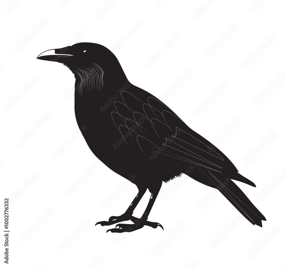 Obraz premium silhouettes of birds, bird, silhouette, animal, nature, illustration, vector, birds, crow, black, isolated, beak, bullfinch, branch, wildlife, white, wing, raven, feather, winter, cartoon, art, fly, 