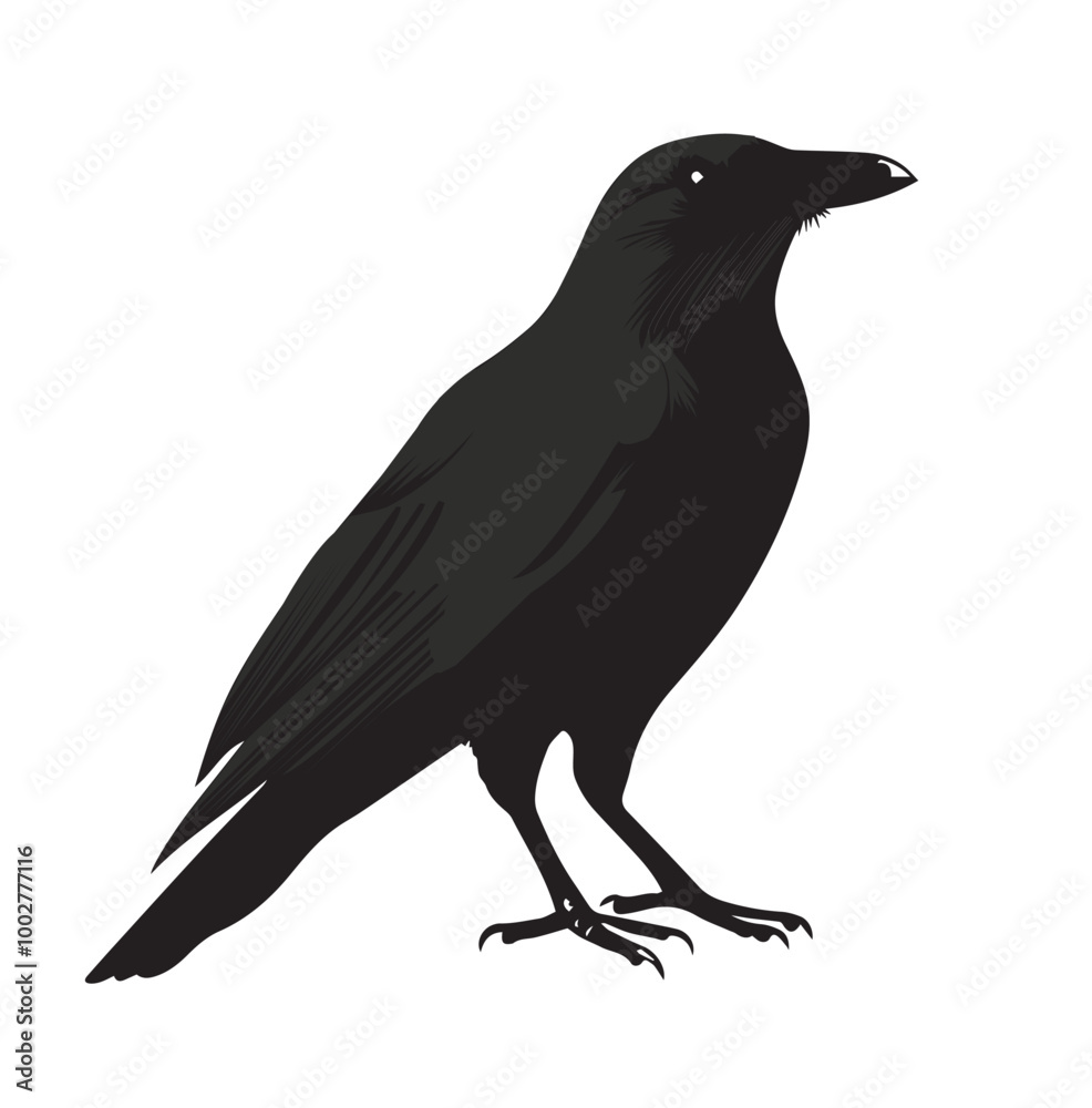 Fototapeta premium silhouettes of birds, bird, silhouette, animal, nature, illustration, vector, birds, crow, black, isolated, beak, bullfinch, branch, wildlife, white, wing, raven, feather, winter, cartoon, art, fly,