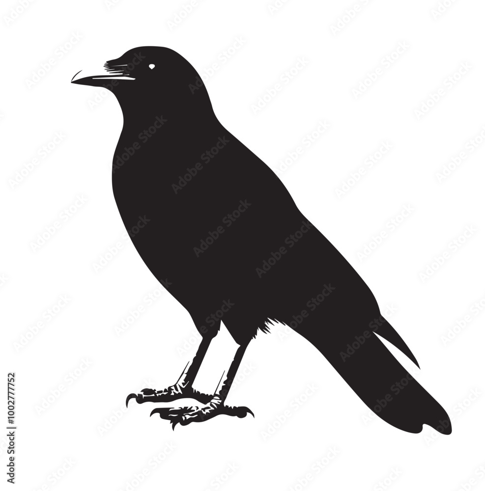 Fototapeta premium silhouettes of birds, bird, silhouette, animal, nature, illustration, vector, birds, crow, black, isolated, beak, bullfinch, branch, wildlife, white, wing, raven, feather, winter, cartoon, art, fly, 